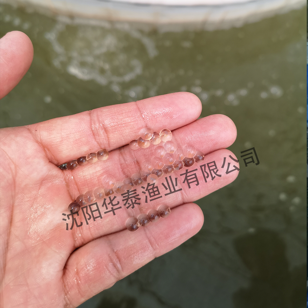 &#21315;&#20159;&#23448;&#32593;&#45;&#21315;&#20159;&#65288;&#20013;&#22269;&#65289;&#19968;&#31449;&#24335;&#26381;&#21153;&#23448;&#32593;